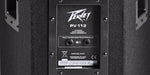 Peavey PV112 Passive Full Range Speaker - Audiofeen