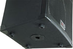 Peavey SP 5 2-Way 15" Speaker b-stock - Audiofeen