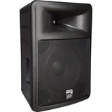 Peavey PR15D Powered Full Range Speaker - Audiofeen