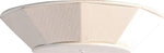 Peavey SSE UB2 Passive Full Range Speaker - Audiofeen