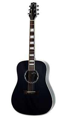 Peavey Jack Daniels JD-AG1 Acoustic Guitar - Black - Audiofeen