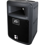 Peavey PR10 Passive Full Range Speaker - Audiofeen