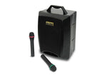 DJ Tech Visa 80 Portable PA System - Audiofeen
