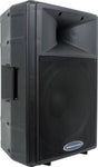 American Audio DLS-15 Passive Full-Range Speaker - Audiofeen