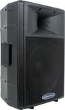 American Audio DLS-15 Passive Full-Range Speaker - Audiofeen