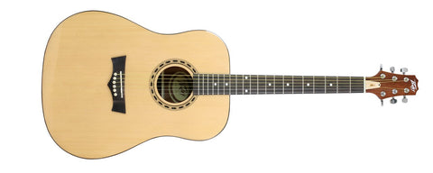 Peavey 3025690 DW-1 Acoustic Guitar - Audiofeen