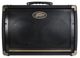 Peavey Ecoustic E208 30W 2x8 Acoustic Combo Amp - Audiofeen