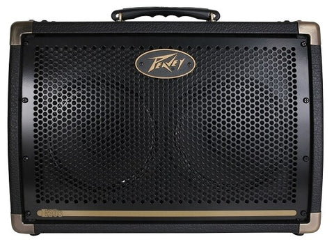 Peavey Ecoustic E208 30W 2x8 Acoustic Combo Amp - Audiofeen