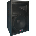 Peavey SP 2 15" 2-Way Passive Loudspeaker - Audiofeen