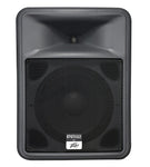Peavey 583900 - PR 12 - Audiofeen