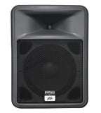 Peavey 583900 - PR 12 - Audiofeen