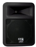 Peavey PR15D Powered Full Range Speaker - Audiofeen