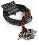 Proel EBN2408FT100 100ft Cable with Metal Box - Audiofeen