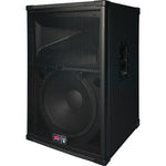 Peavey SP 2 15" 2-Way Passive Loudspeaker - Audiofeen