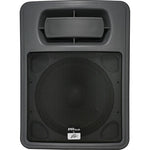 Peavey PR Sub - 15" Subwoofer - Audiofeen