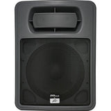 Peavey PR Sub - 15" Subwoofer - Audiofeen