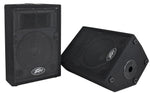 Peavey 570810 - PVi 10 (Pair) two-way speaker system - Audiofeen