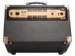 Peavey Ecoustic E110 100W 1x10 Acoustic Guitar - Audiofeen