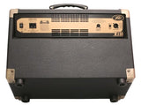 Peavey Ecoustic E110 100W 1x10 Acoustic Guitar - Audiofeen