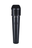Lewitt MTP 440 DM Reference Class Condenser - Audiofeen