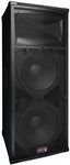 Peavey SP 4 2-Way PA Speaker - Audiofeen