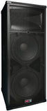Peavey SP 4 2-Way PA Speaker - Audiofeen