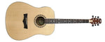Peavey 3018250 -  DW-3 Acoustic Guitar - Audiofeen