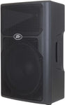 Peavey 3616470 PVXp 15 DSP Powered Speaker System - Audiofeen
