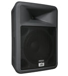 Peavey 583900 - PR 12 - Audiofeen