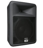 Peavey 583900 - PR 12 - Audiofeen