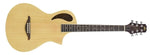 Peavey Composer Guitar - Audiofeen