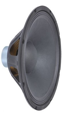 Peavey Pro 12 Neo Replacement Woofer - Audiofeen