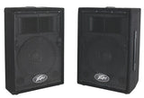 Peavey PV110 Passive Full Range Speaker - Audiofeen