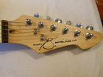 Peavey Raptor Plus Series Cherryburst Guitar - Audiofeen