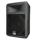 Peavey 583900 - PR 12 - Audiofeen