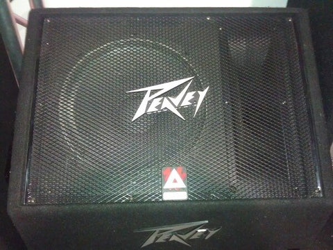 Peavey TLM-2 2-Way Floor Monitor - Audiofeen