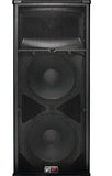 Peavey SP 4 2-Way PA Speaker - Audiofeen