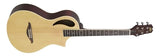 Peavey Composer Guitar - Audiofeen