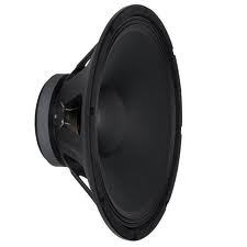 Peavey PRO 10 Replacement Woofer - Audiofeen