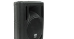Gemini RS-308 Passive Full Range Speaker - Audiofeen