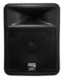 Peavey PR 12D 2-Way Loudspeaker - Audiofeen