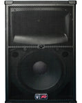 Peavey SP 2 15" 2-Way Passive Loudspeaker - Audiofeen