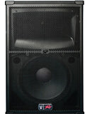 Peavey SP 2 15" 2-Way Passive Loudspeaker - Audiofeen